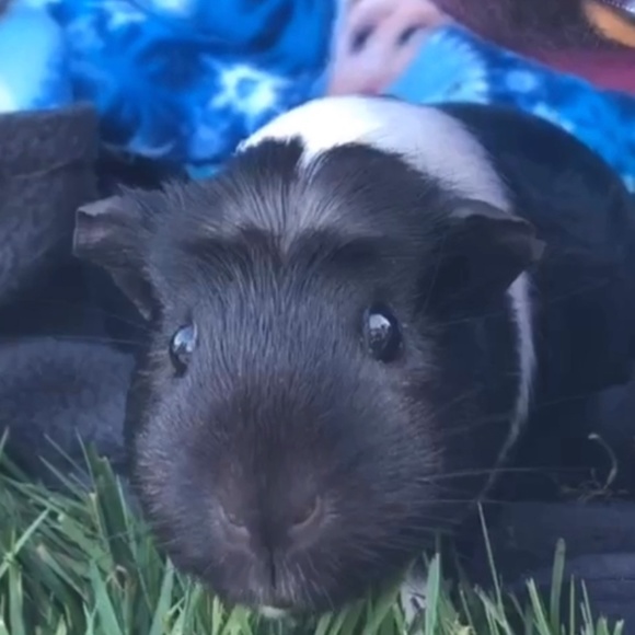 Meet your Posher... - Picture 1 of 2